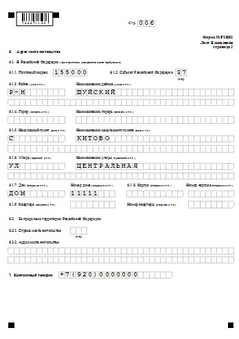 Новая форма 11001