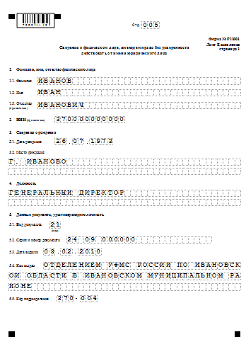 Новая форма 11001