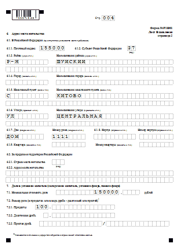 Новая форма 11001